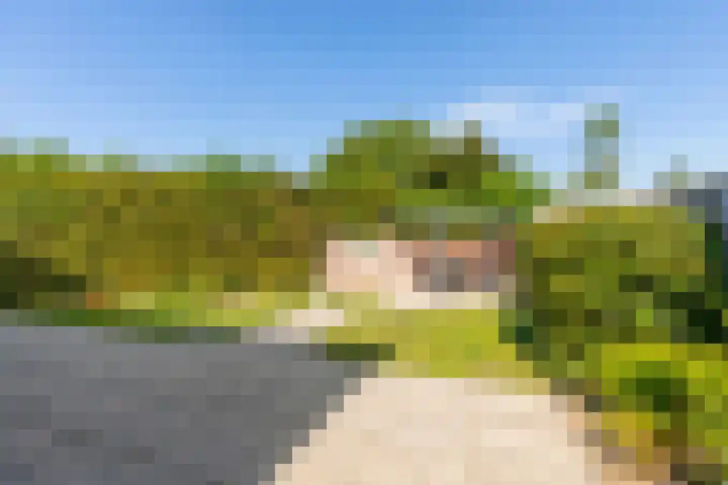 de Acacia 5 a Didam thumbnail 22