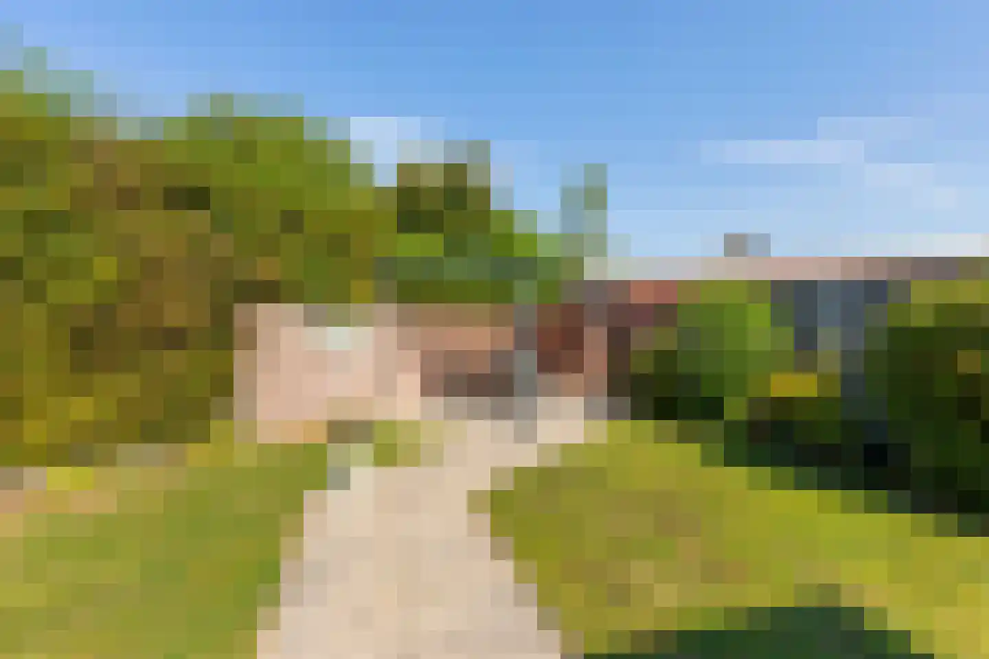 de Acacia 5 a Didam thumbnail 23