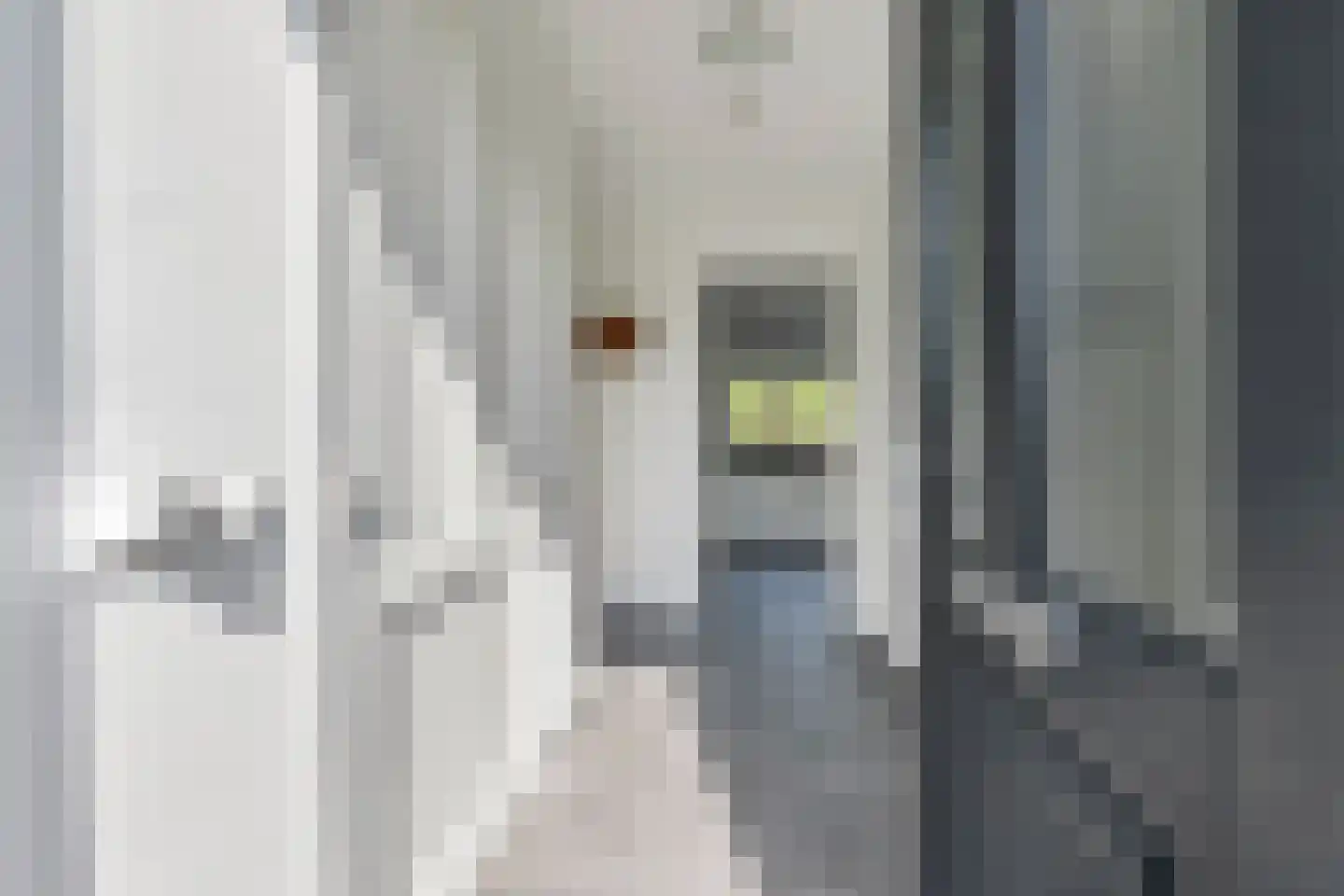 de Acacia 5 a Didam thumbnail 5