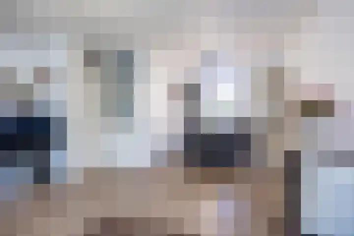 De Acacia 8 Bedum thumbnail 13