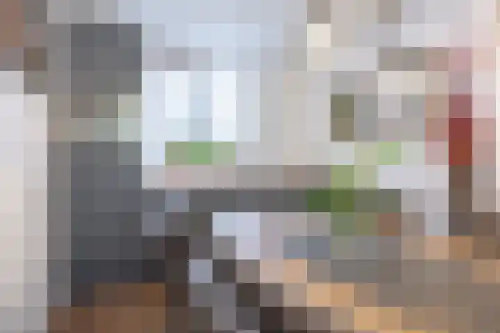 De Acacia 8 Bedum thumbnail 15