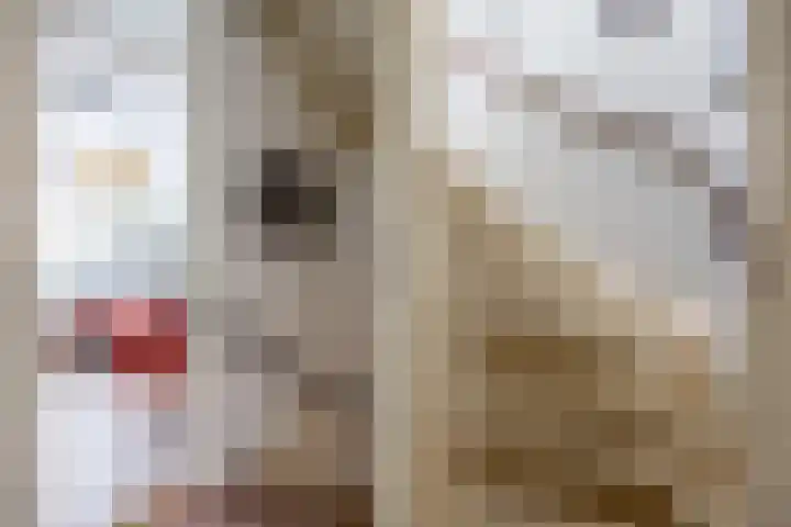 De Acacia 8 Bedum thumbnail 25