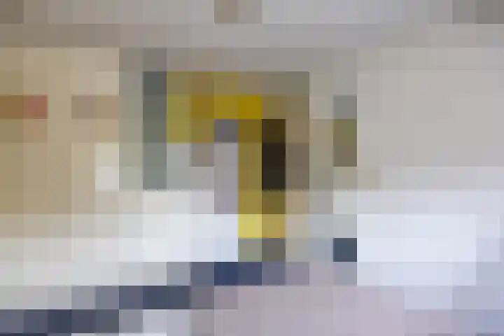 De Acacia 8 Bedum thumbnail 28