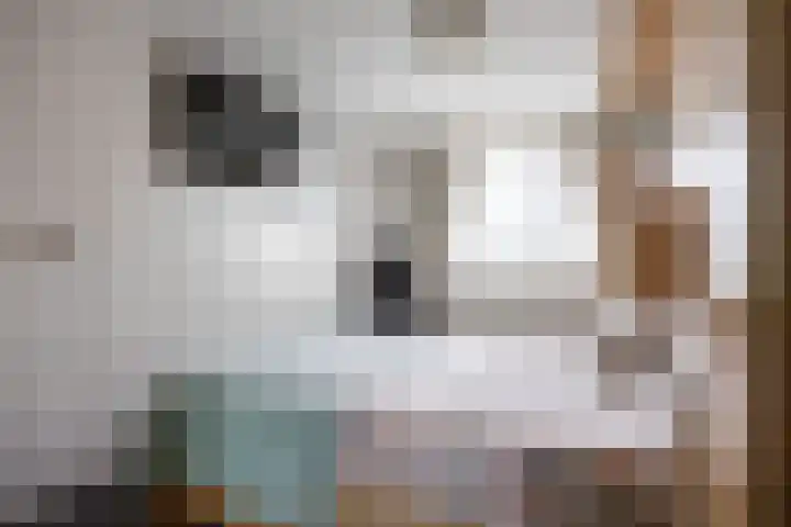 De Acacia 8 Bedum thumbnail 31