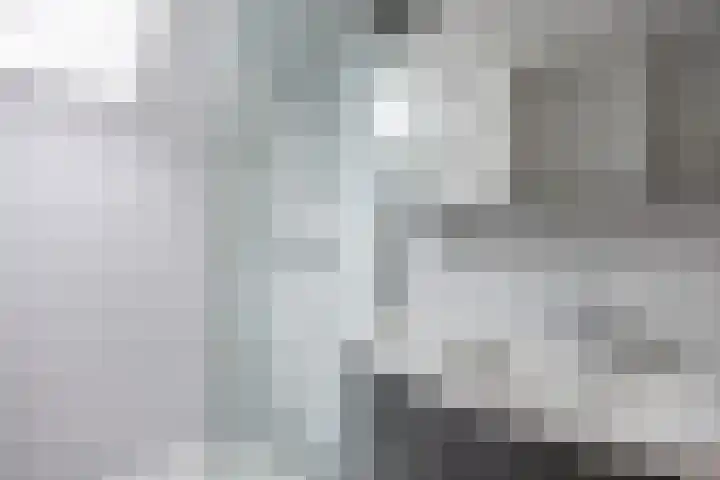 De Acacia 8 Bedum thumbnail 36
