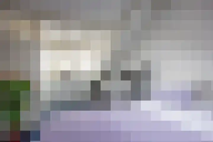 De Acacia 8 Bedum thumbnail 43