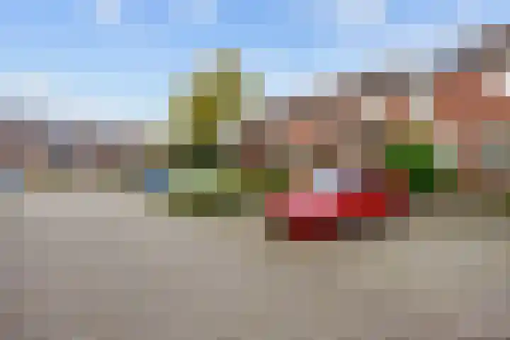 De Acacia 8 Bedum thumbnail 5