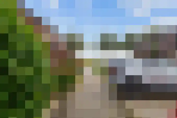 De Acacia 8 Bedum thumbnail 7