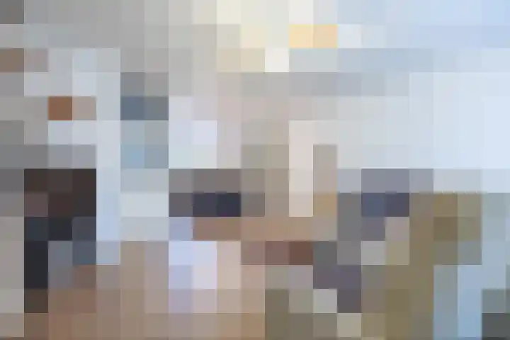 De Acacia 8 Bedum thumbnail 9