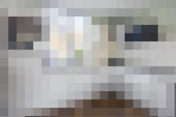 De Acacia 9 Bedum thumbnail 15