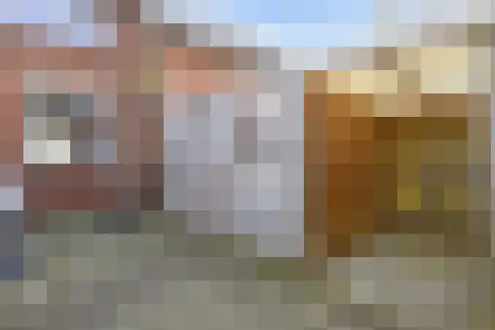 De Acacia 9 Bedum thumbnail 41