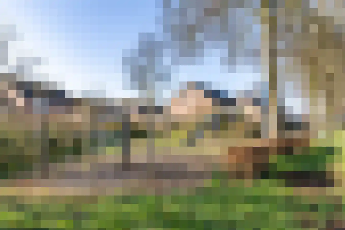 De Acacia 99 Burgum thumbnail 8