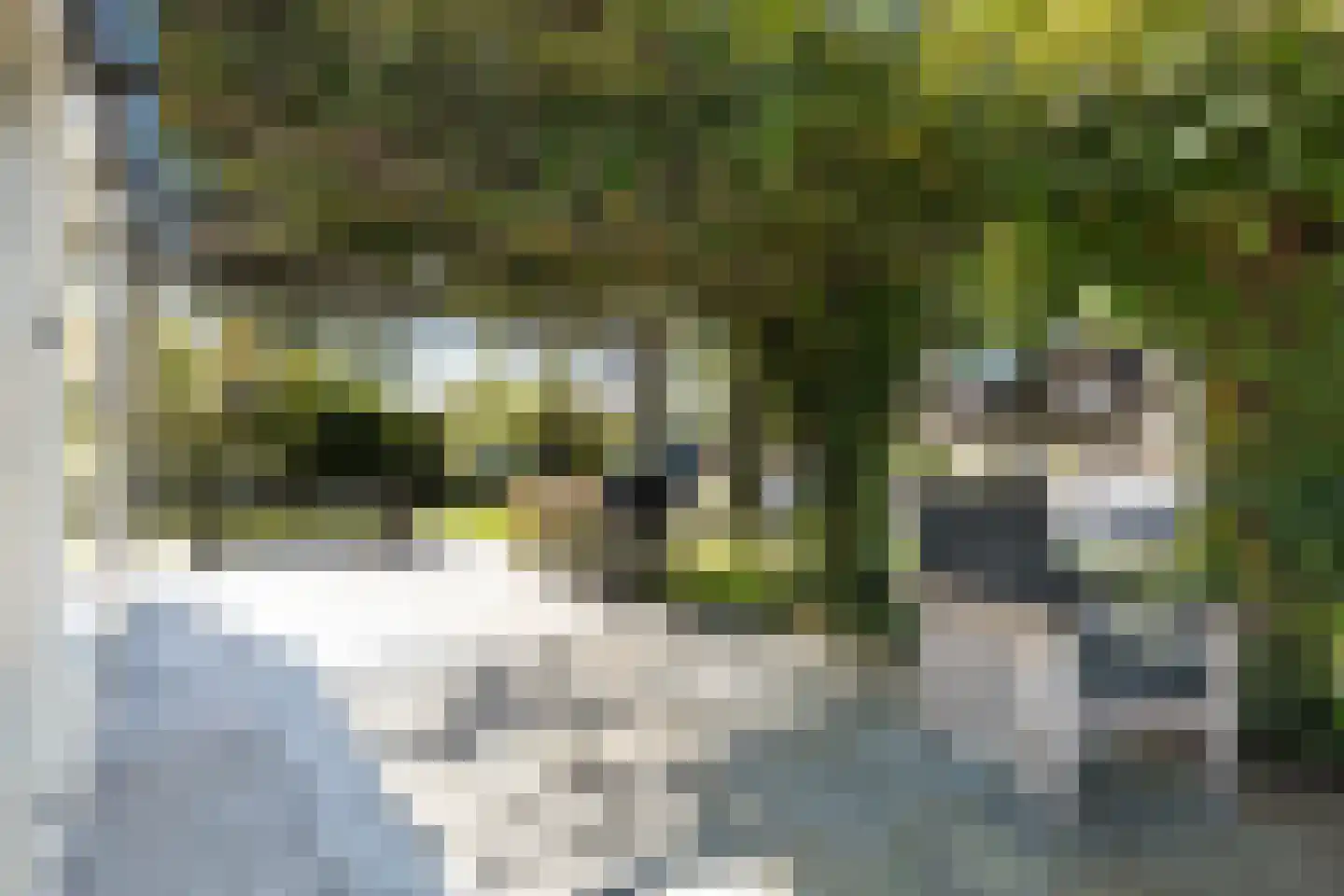 De Achte 15 RECR Terherne thumbnail 14