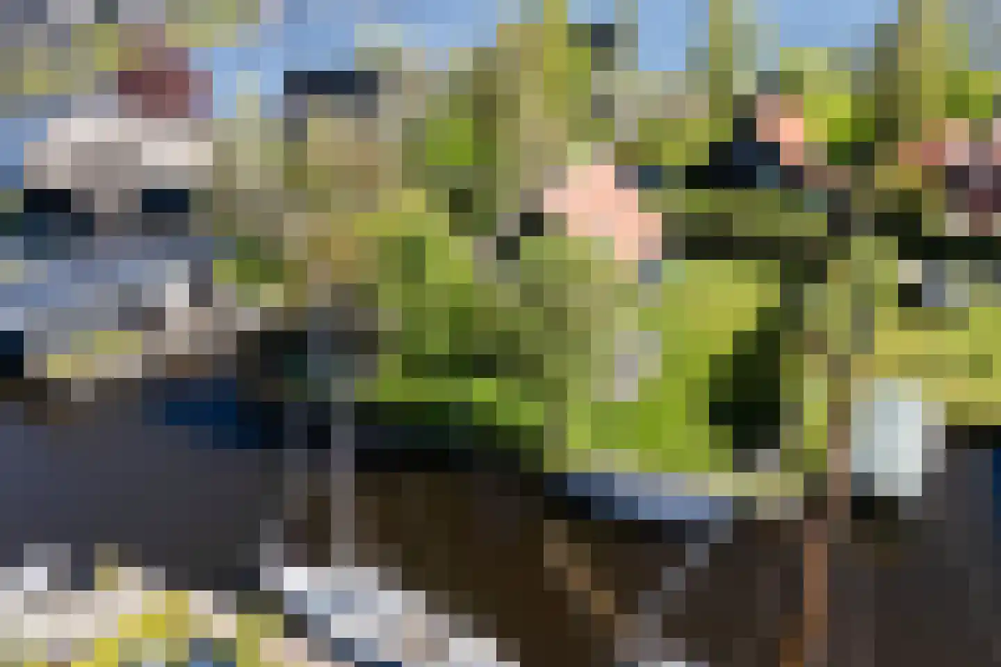 De Achte 15 Terherne thumbnail 8