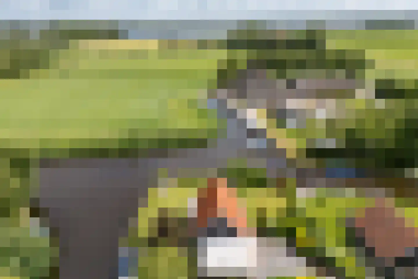 De Achte 3 Terherne thumbnail 12