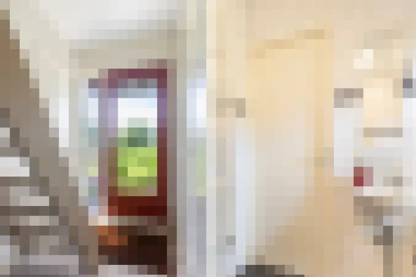 De Achte 3 Terherne thumbnail 16