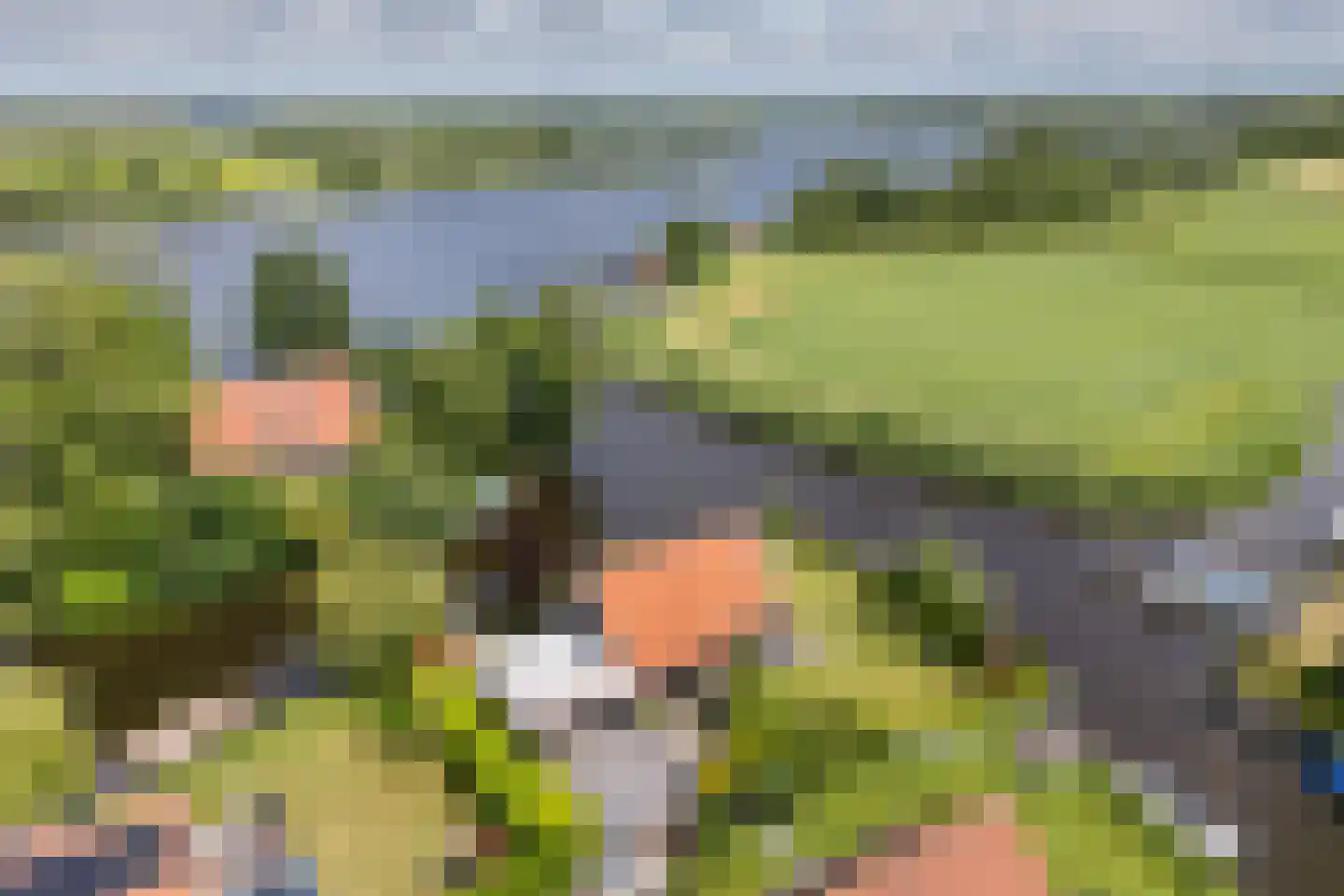 De Achte 3 Terherne foto 3