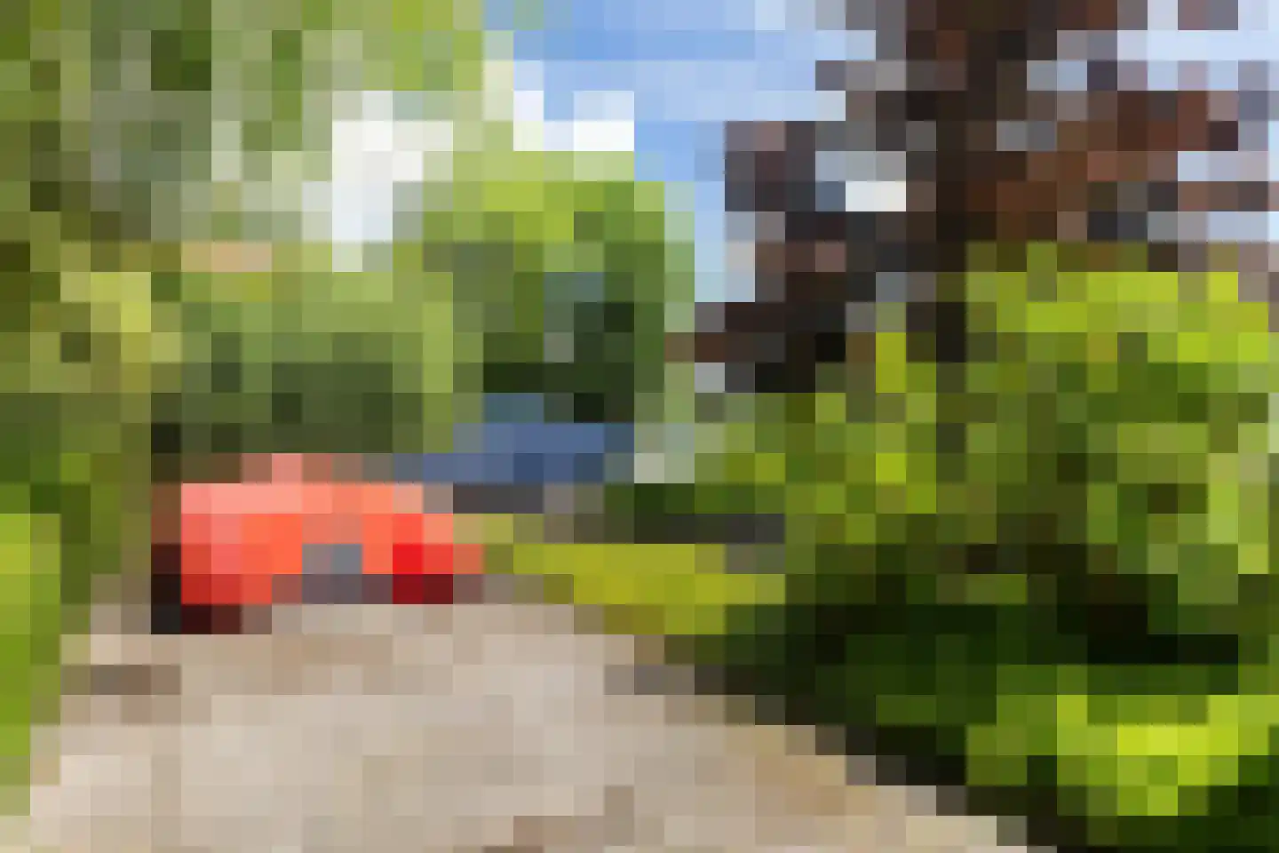 De Achte 3 Terherne thumbnail 31