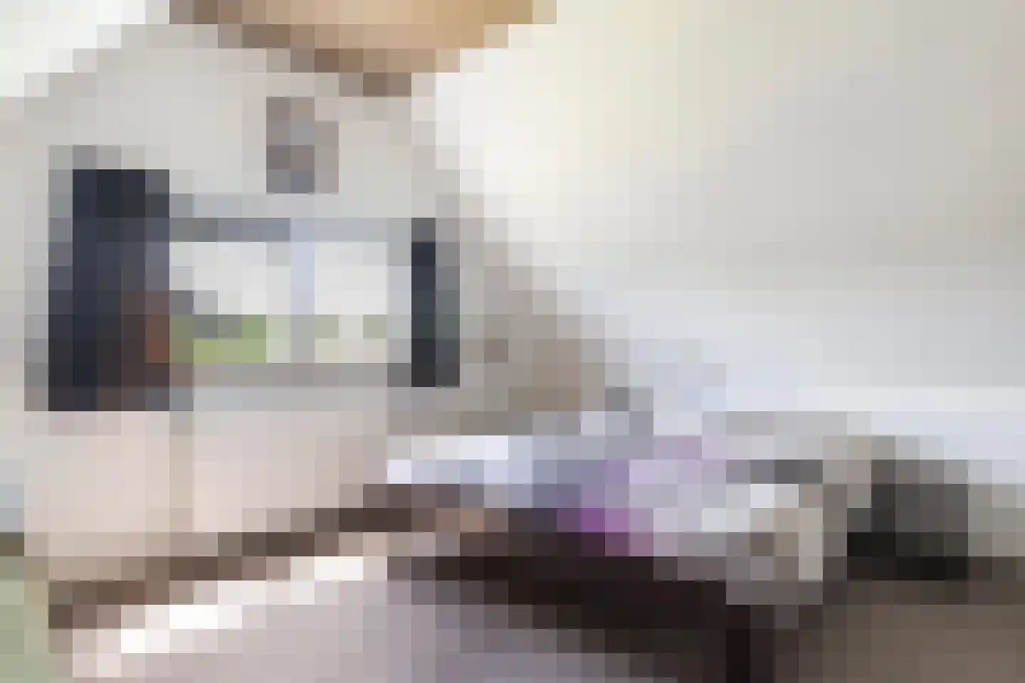 De Achte 3 Terherne thumbnail 40