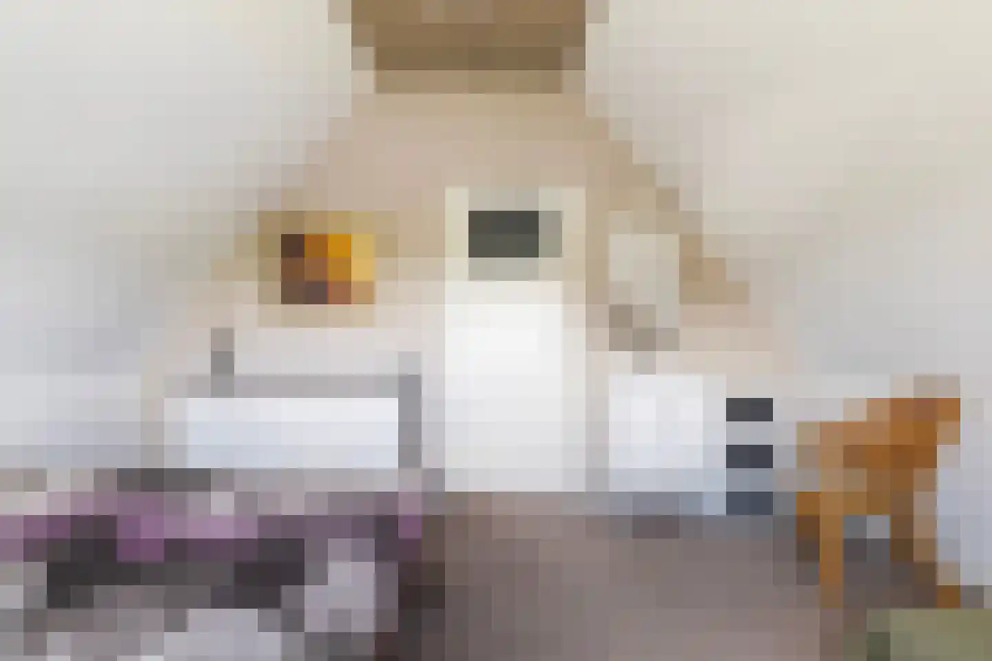 De Achte 3 Terherne thumbnail 41