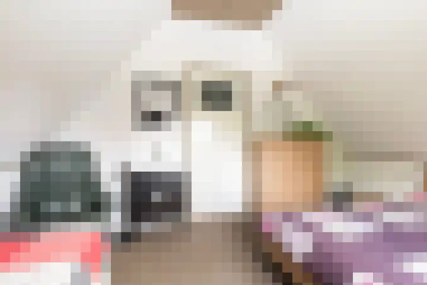 De Achte 3 Terherne thumbnail 42