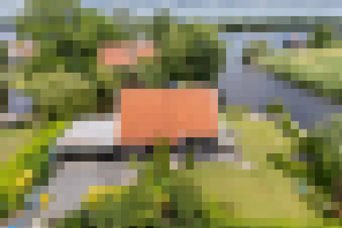De Achte 3 Terherne thumbnail 6