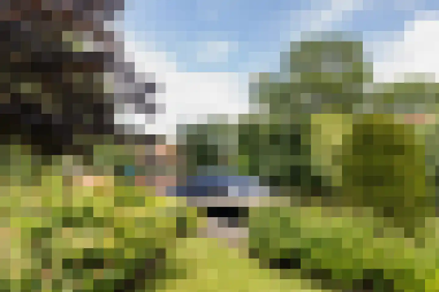 De Achte 3 Terherne thumbnail 8