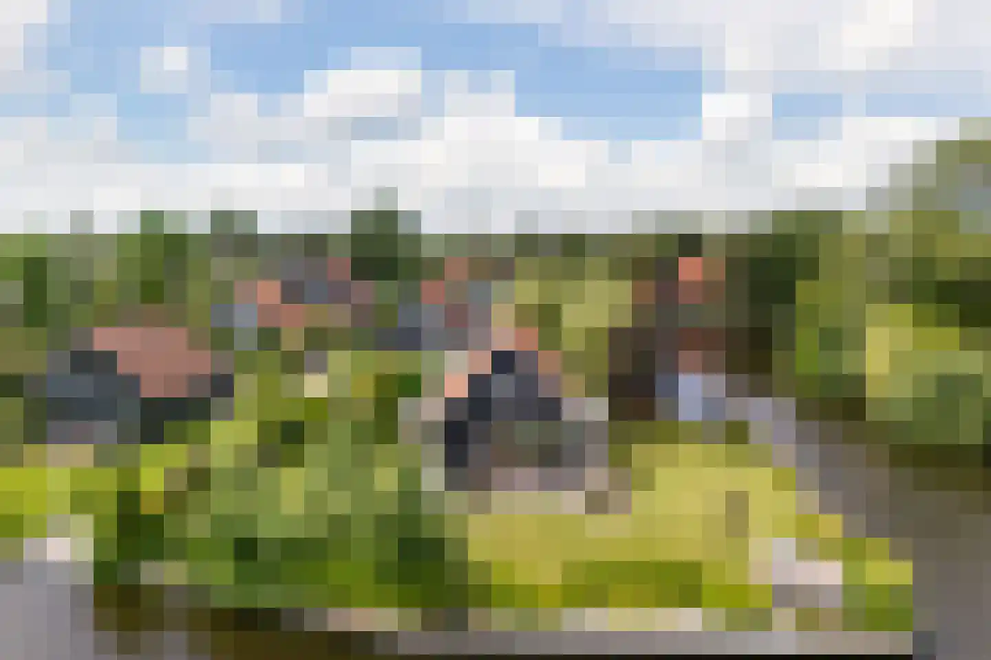 De Achte 3 Terherne thumbnail 9