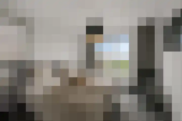De Achterhoede 16 Wormer thumbnail 23