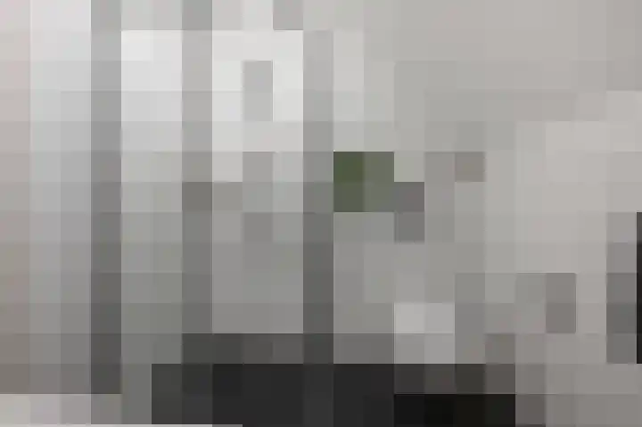 De Achterhoede 16 Wormer thumbnail 27