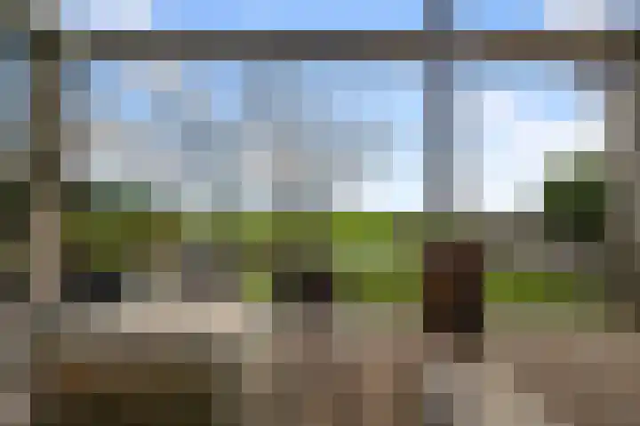 De Achterhoede 16 Wormer thumbnail 30