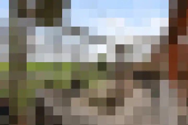 De Achterhoede 16 Wormer thumbnail 32
