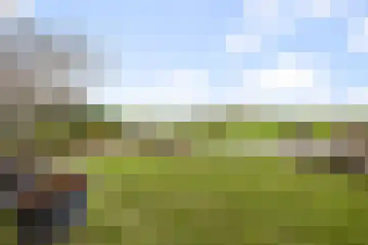 De Achterhoede 16 Wormer thumbnail 33