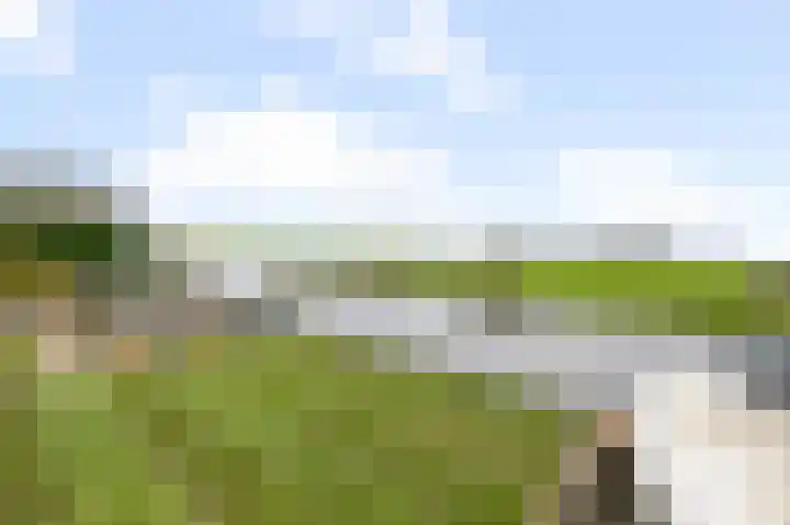 De Achterhoede 16 Wormer thumbnail 34