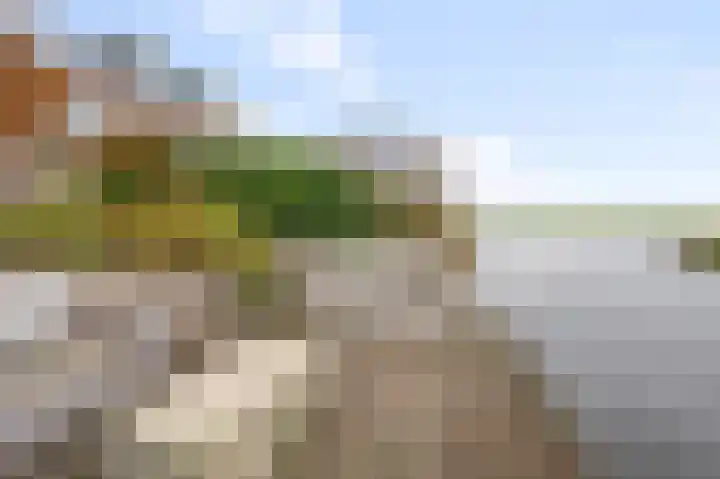 De Achterhoede 16 Wormer thumbnail 35