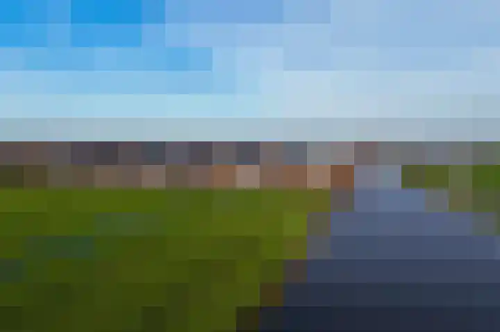 De Achterhoede 16 Wormer thumbnail 39