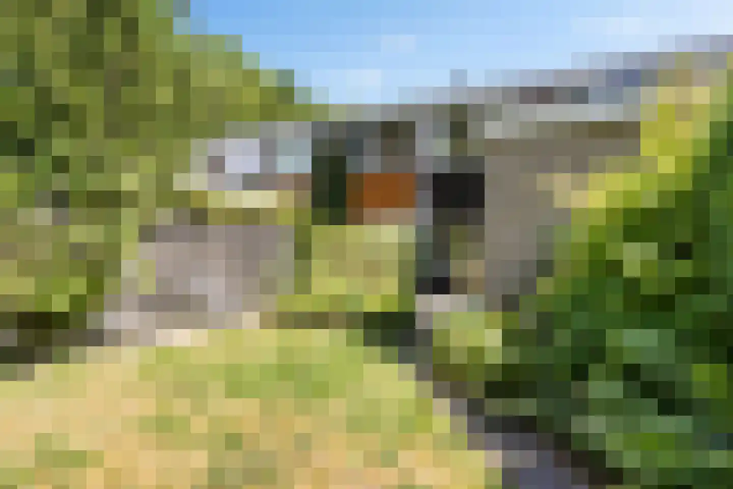 De Achterhorst 24 Enschede thumbnail 29