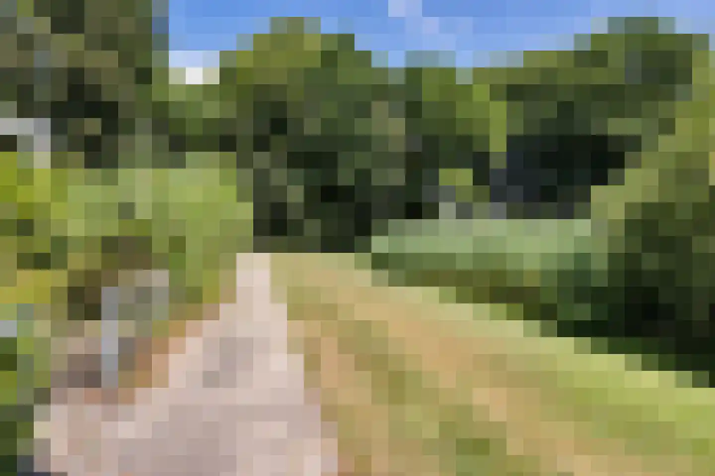 De Achterhorst 24 Enschede thumbnail 31