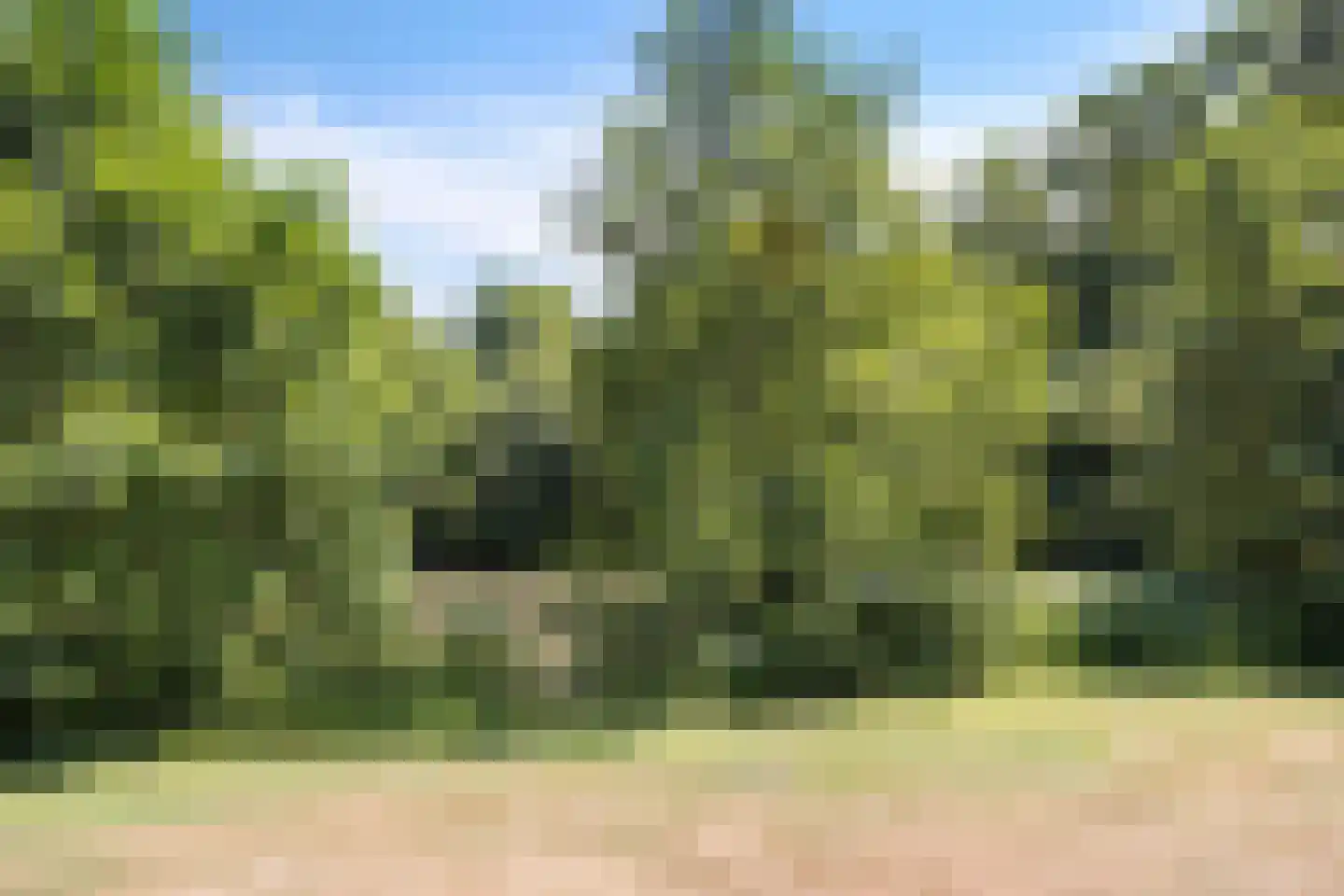 De Achterhorst 24 Enschede thumbnail 32