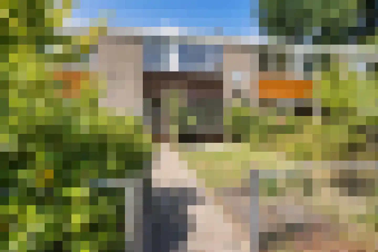 De Achterhorst 24 Enschede thumbnail 5