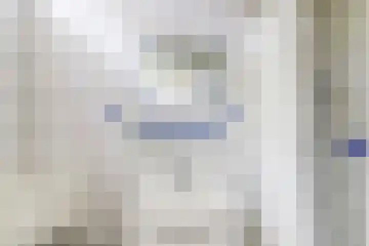 De Achthoek 26 Scharendijke thumbnail 10
