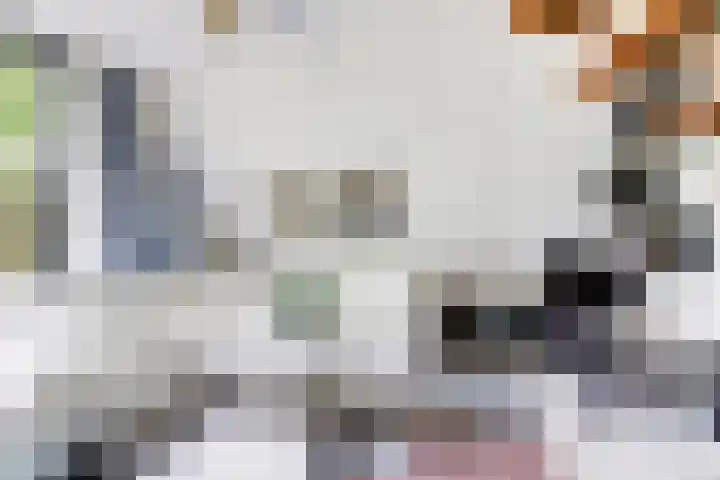 De Achthoek 26 Scharendijke thumbnail 13