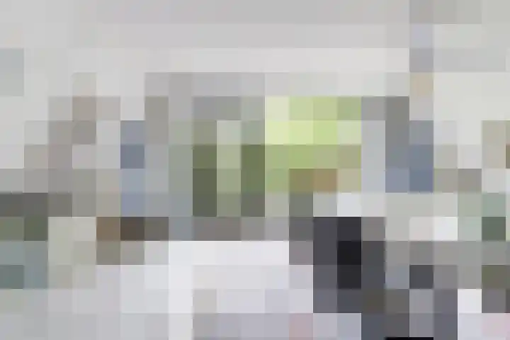 De Achthoek 26 Scharendijke thumbnail 14