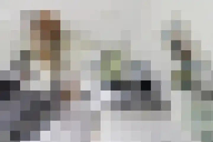 De Achthoek 26 Scharendijke thumbnail 15