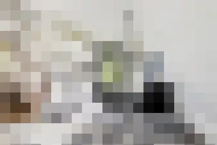De Achthoek 26 Scharendijke thumbnail 16