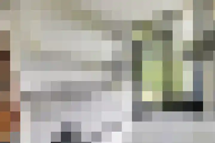 De Achthoek 26 Scharendijke thumbnail 17
