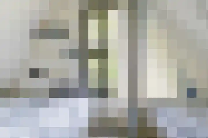 De Achthoek 26 Scharendijke thumbnail 20