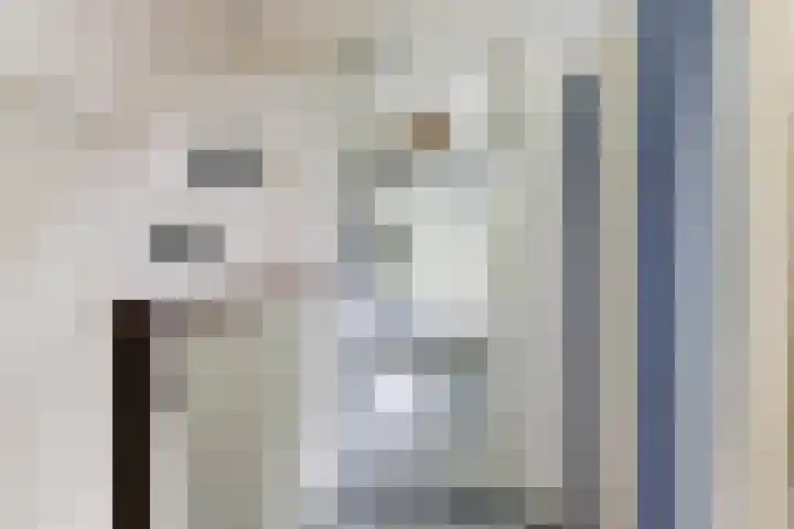 De Achthoek 26 Scharendijke thumbnail 21