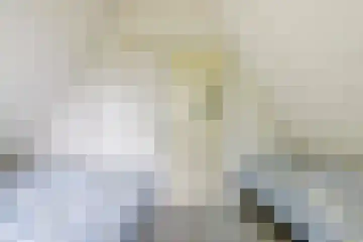 De Achthoek 26 Scharendijke thumbnail 22