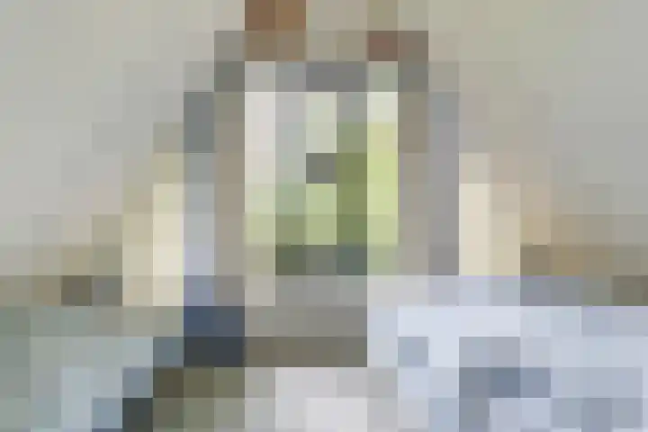 De Achthoek 26 Scharendijke thumbnail 23